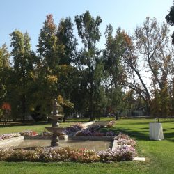 Casona El Cruceral Araucaria-min